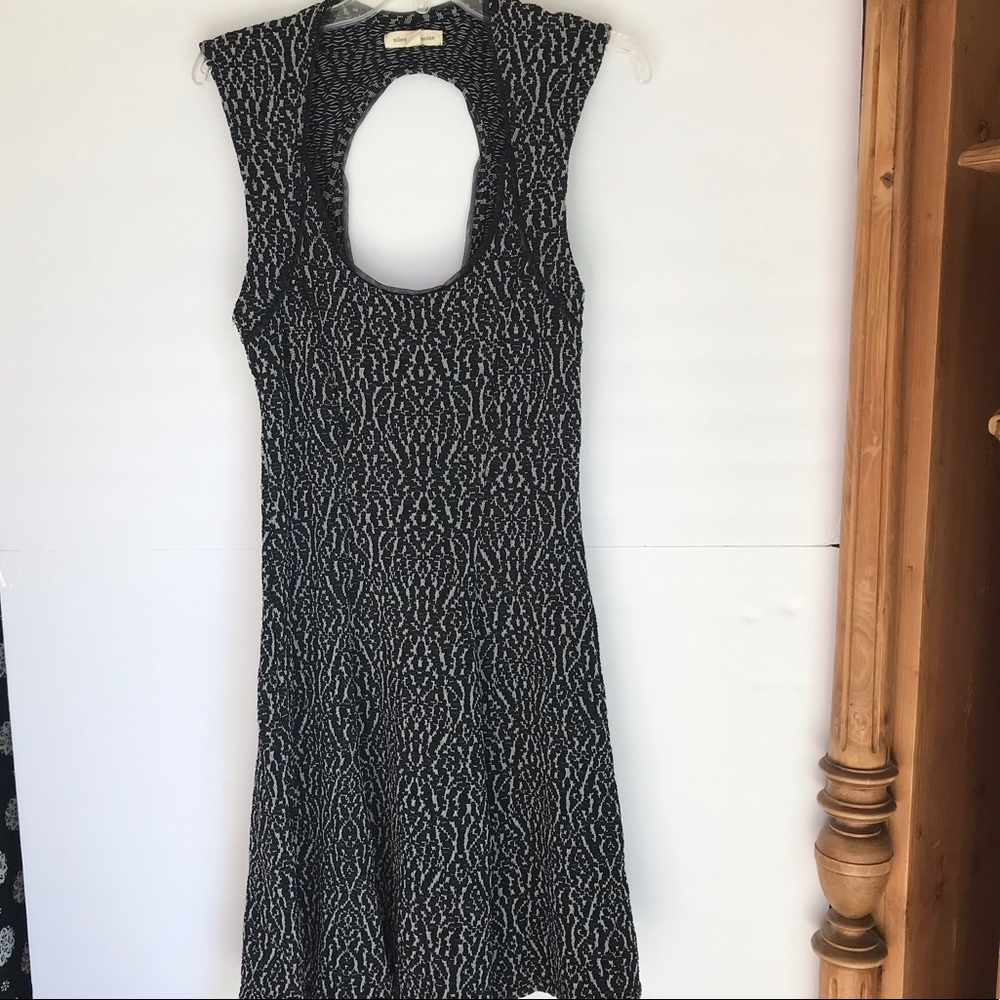 Silence and noise skater style mini dress